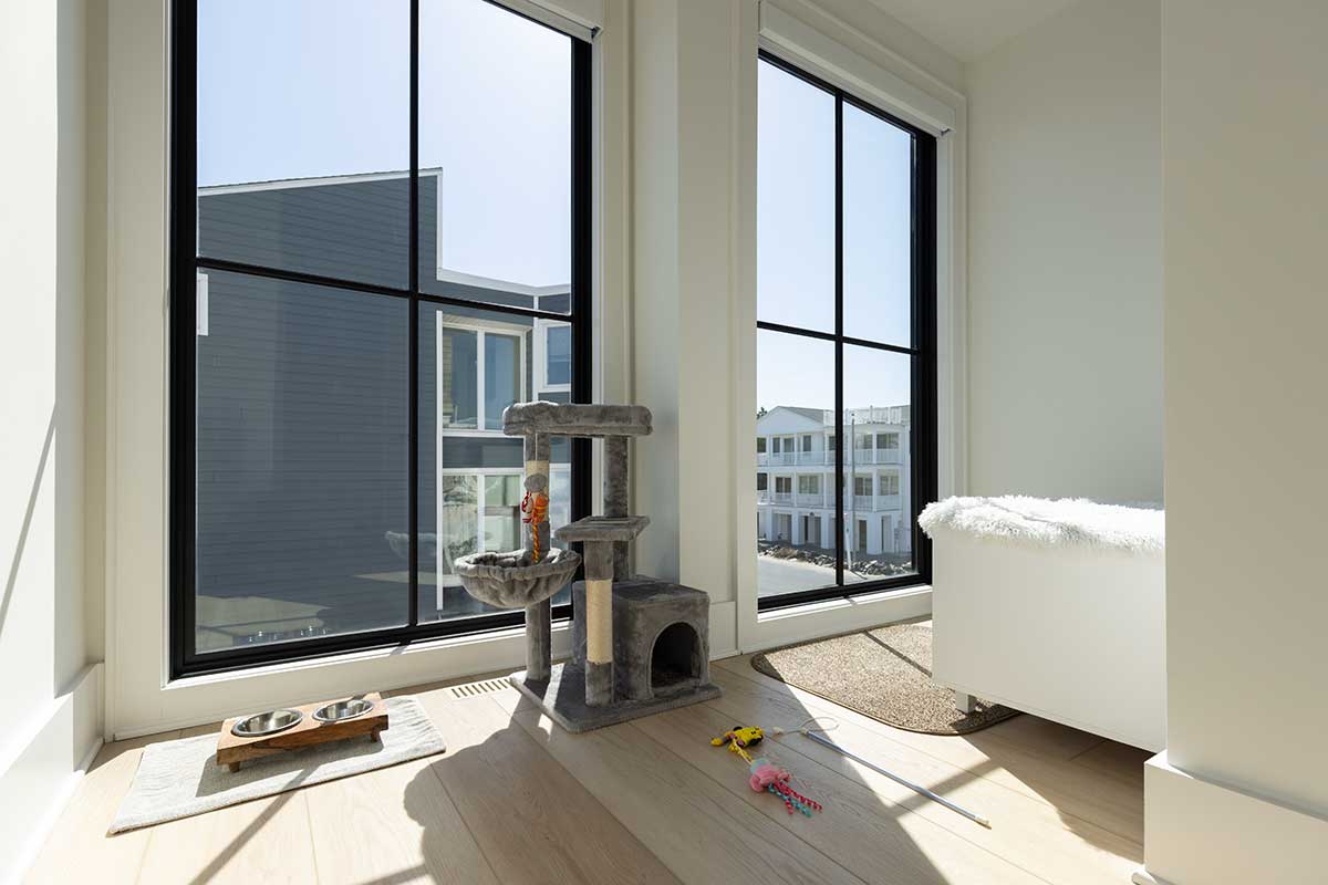 A patio with a cat dish and cat toys, and lots of natural light from Marvin windows.